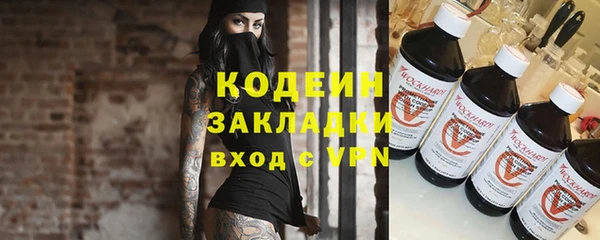 прущие грибы Алексеевка