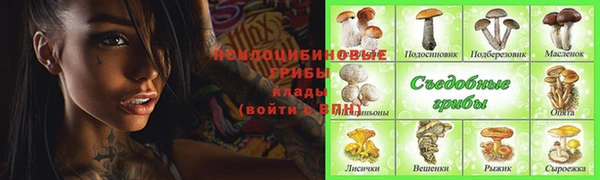 гидра Абинск