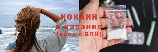 прущие грибы Алексеевка