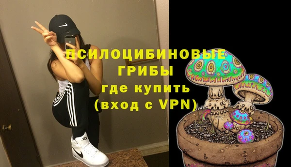 бошки Алексин